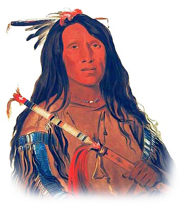 Picture of a Cheyenne