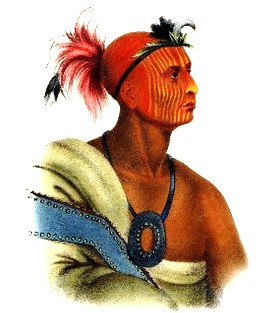 Tuko-see-mathla, Seminole Chief